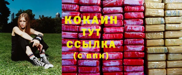твердый Алексин