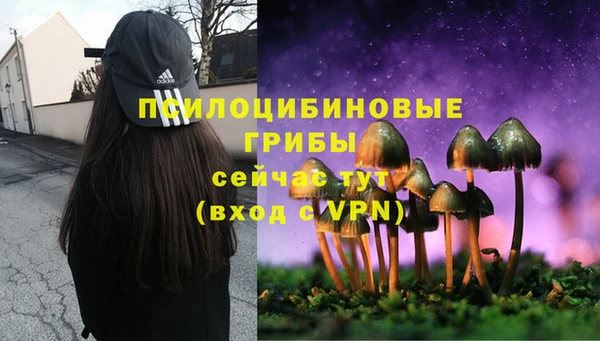 метадон Алзамай