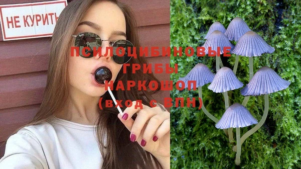 винт Алексеевка