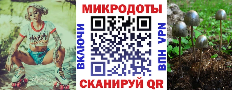 наркошоп  Анжеро-Судженск  Псилоцибиновые грибы Psilocybine cubensis 