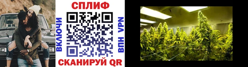 Шишки марихуана LSD WEED  Анжеро-Судженск 